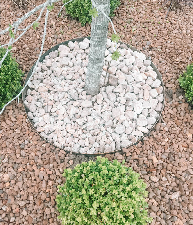 MAS ALLA DEL JARDIN