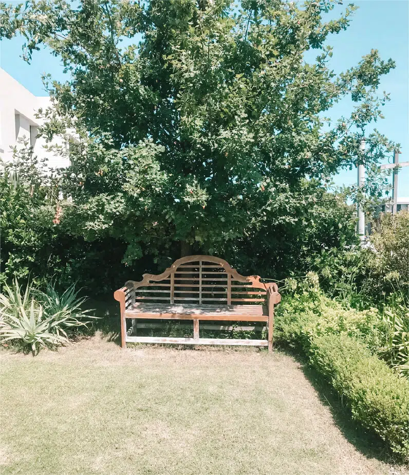 MAS ALLA DEL JARDIN